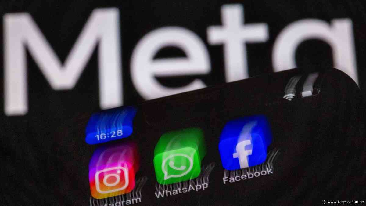 Kann Vergleich mit Meta als Vorlage für andere sozialen Medien dienen?