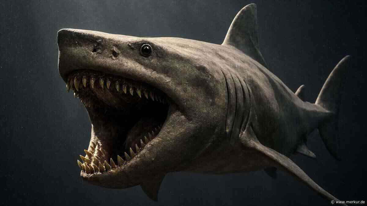 Sensation in der Wüste: 70 Millionen Jahre alte Haifossilien in Ägypten entdeckt