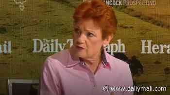 Pauline Hanson forced to clarify One Nation migration policy after MP's public mix-up