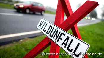 Frau weicht Wildtier aus und wird verletzt