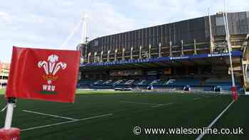 WRU launch search for new rugby chief and stadium to fall silent for Welsh hero