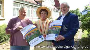 Johann Strauß bis Beach Boys: Das bietet das Serenadenkonzert in Fallersleben