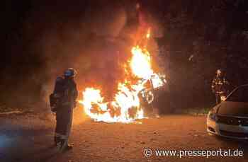 FW-DO: PKW Brand in Jungferntal