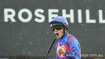 Lloyd looks for more mature return after exciting guest stint