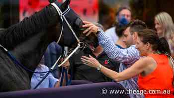 Queensland trainer takes aim with Cosmic Fire at Sydney breakthrough