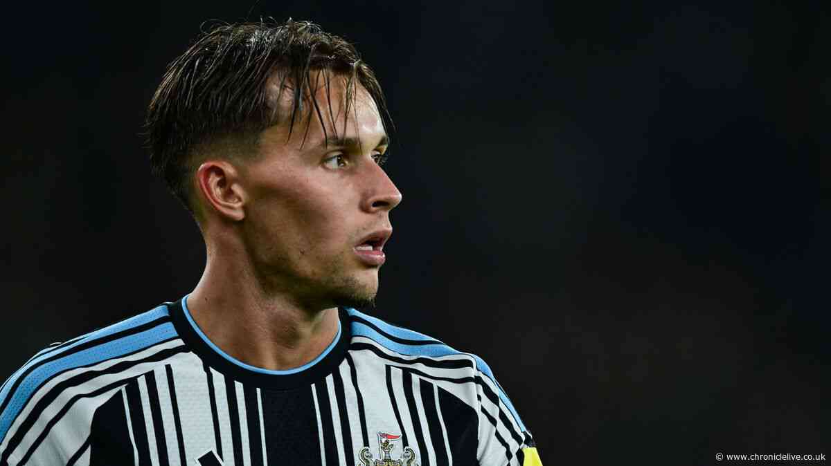 What Amar Dedic has already done at Newcastle is an exciting sign of things to come