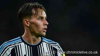 What Amar Dedic has already done at Newcastle is an exciting sign of things to come
