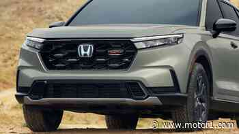Honda May Make CR-V And Accord Hybrid-Only, Element Revival Still Rumored