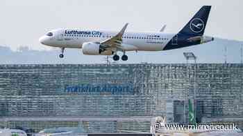 Two Frankfurt Airport workers die of malaria and others infected after mosquitoes arrive on plane