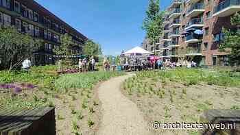 Renovatie daktuin Kadoelerbreek Amsterdam