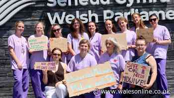 Midwifery graduates looking for jobs in McDonalds as dozens in Wales left without jobs