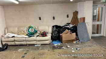 'Horrific' Cardiff block littered with used needles, rats, maggots and filth