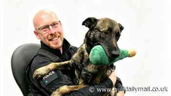 ‘Well-deserved retirement’ for good girl PD Roxy