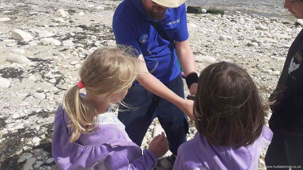 ‘Seaside Safari’ coming to the East Yorkshire coast with chance to go rockpooling, create marine art and more