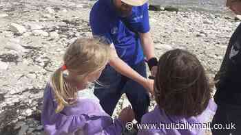 ‘Seaside Safari’ coming to the East Yorkshire coast with chance to go rockpooling, create marine art and more
