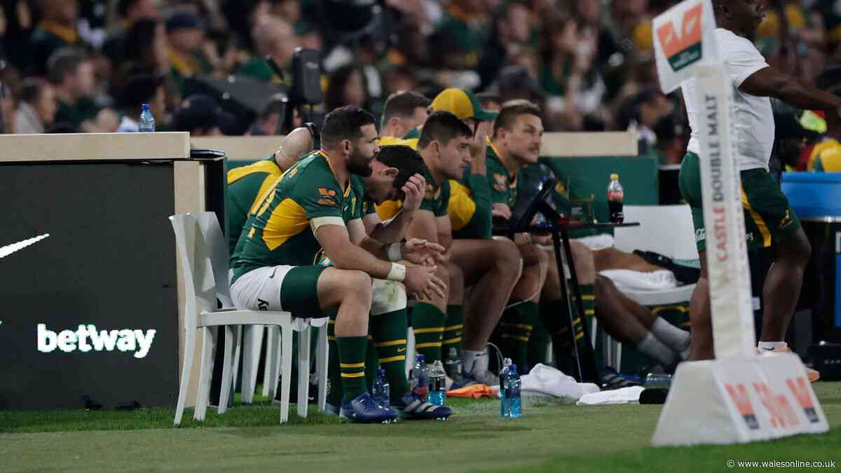Springbok legend slams referee as Rassie Erasmus rejects meeting with official
