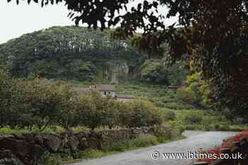 298 Missing Cases Reopened After Jeju Cop Allegedly Cleared 2 People Later Found Dead