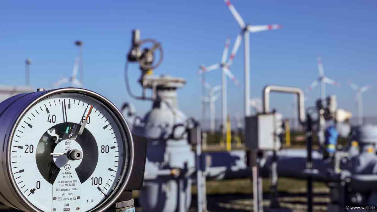 „LNG wirkt manchmal wie die Wunderwaffe. Das ist natürlich nicht richtig“