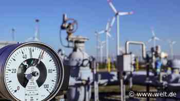 „LNG wirkt manchmal wie die Wunderwaffe. Das ist natürlich nicht richtig“