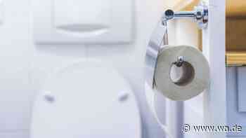 Toilettenpapier nach vorn oder hinten: Experten empfehlen nur eine Position