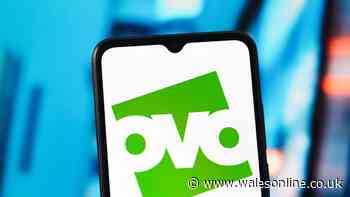 OVO giving customers free solar panels after UK rule change