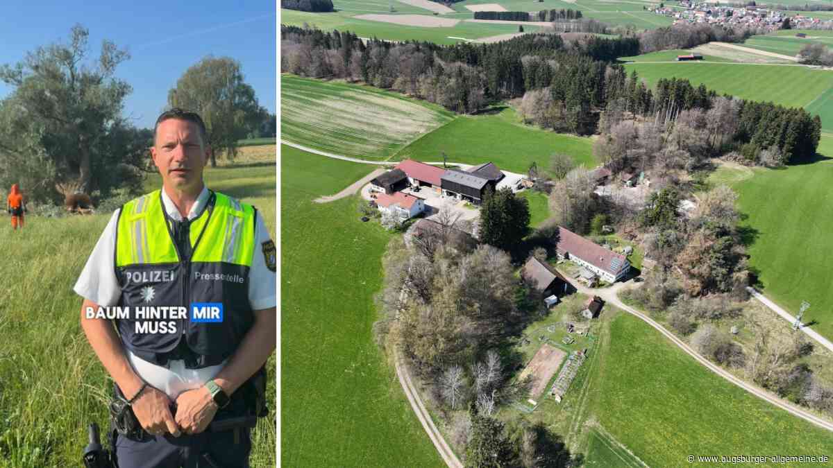 Tötungsdelikt von Kunzach: Birgt ein 130 Jahre alter Baum Hinweise auf den Täter?