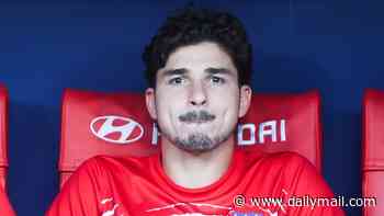 Arsenal refuse to give up on Julian Alvarez as he skips Atletico Madrid training for a second day due to mystery 'illness' - as his club outlaw him from joining Barcelona
