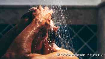 'Check your bathroom' alert as banned chemical found in UK shampoo