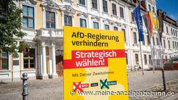 620.000 Euro für 13.500 Plakate: Diese Mammut-Aktion soll die AfD in Sachsen-Anhalt stoppen