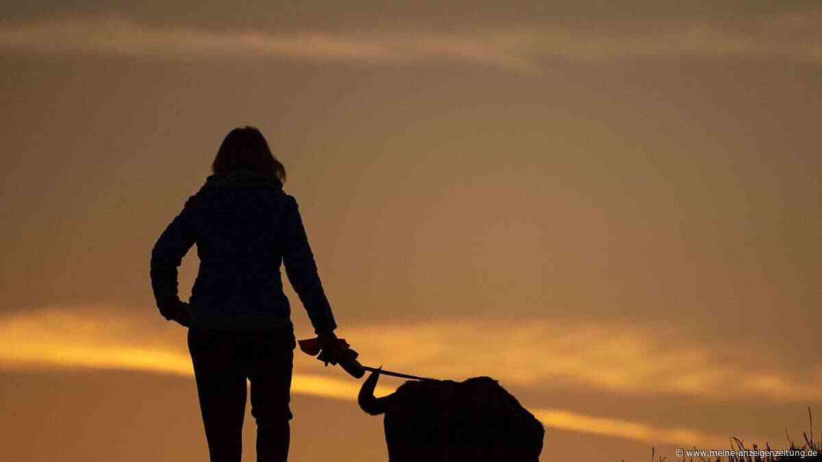 Gericht löst Haustier-Streit: Ex-Paar muss für Hund bieten