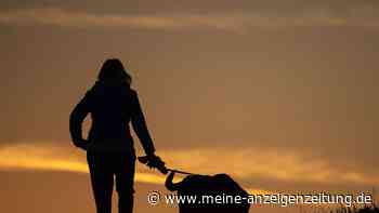 Gericht löst Haustier-Streit: Ex-Paar muss für Hund bieten