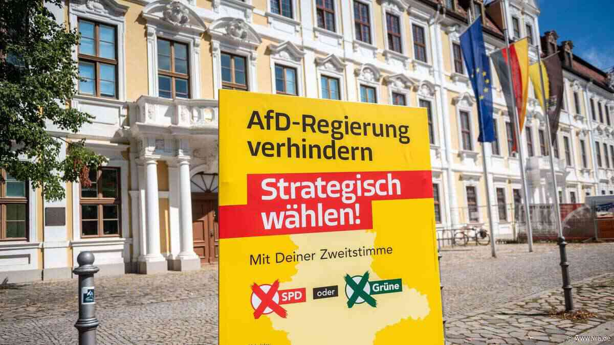 620.000 Euro für 13.500 Plakate: Diese Mammut-Aktion soll die AfD in Sachsen-Anhalt stoppen