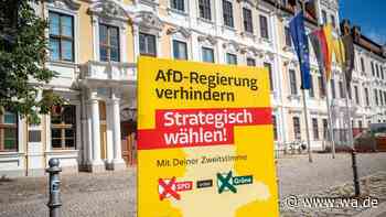 620.000 Euro für 13.500 Plakate: Diese Mammut-Aktion soll die AfD in Sachsen-Anhalt stoppen