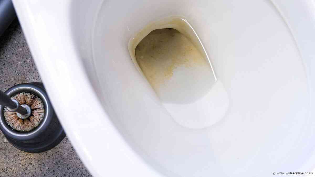 Toilet limescale will disappear in 1 hour with £1.80 Home Bargains cleaner — no scrubbing needed