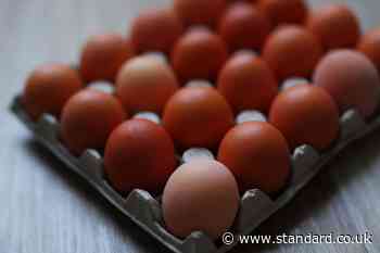 Rise in salmonella cases linked to imported eggs