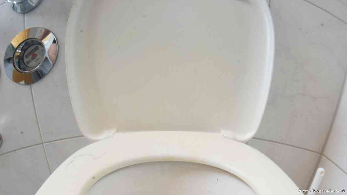 Clear toilet limescale in 1 hour with Home Bargains cleaner — no scrubbing needed