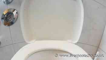 Clear toilet limescale in 1 hour with Home Bargains cleaner — no scrubbing needed