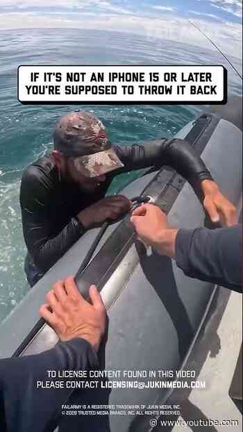 I only buy wild caught iPhones #fishing #fail #phone #waterfail #shorts