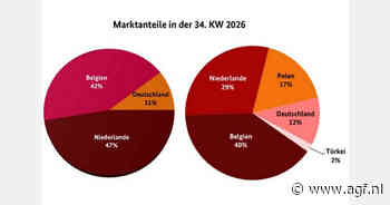 Nederlandse en Belgische tomaten domineren Duitse markt