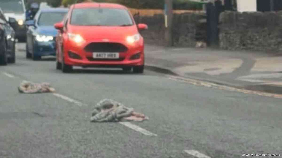 Firm breaks silence after van spills 'decaying pig guts' across M62 and street
