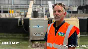 Food waste processing is 'worth the extra effort'