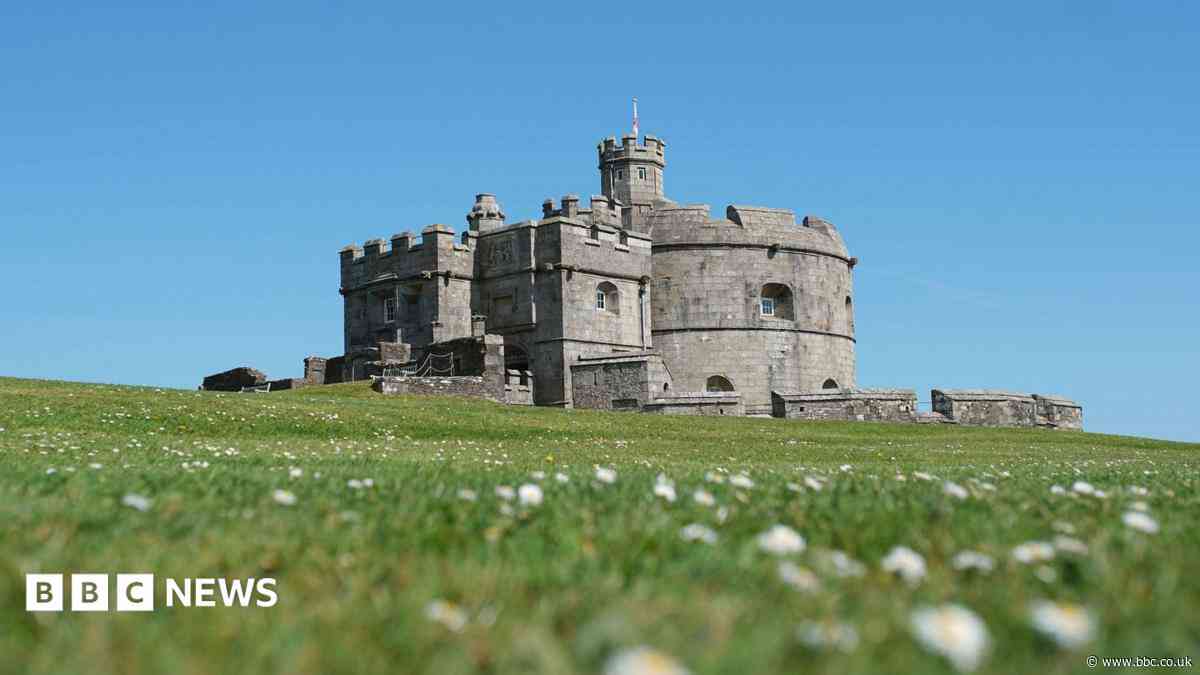 Plan to protect and improve castle landmark