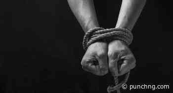 Over 1,100 killed, N7.8bn paid in ransoms as Nigerian kidnappings surge 66% – Report