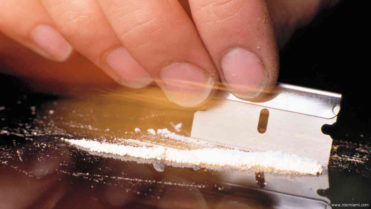 5 plead guilty to importing $31 million worth of cocaine into South Florida