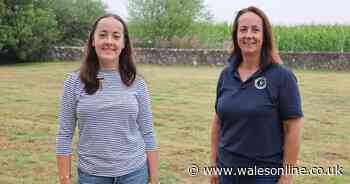AD FEATURE: 'Gower College Swansea gave my Poppy the confidence to reach Cambridge'