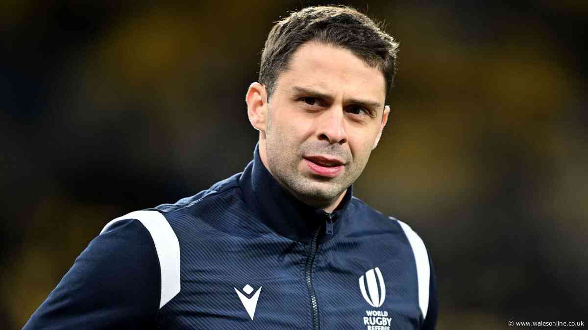 Springboks v New Zealand referee stood down as World Rugby make announcement