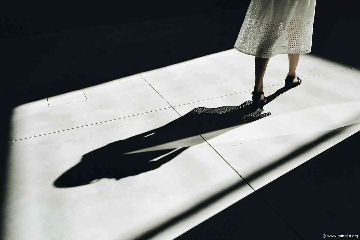 The Predictive Shadow