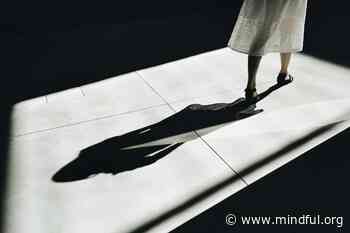 The Predictive Shadow
