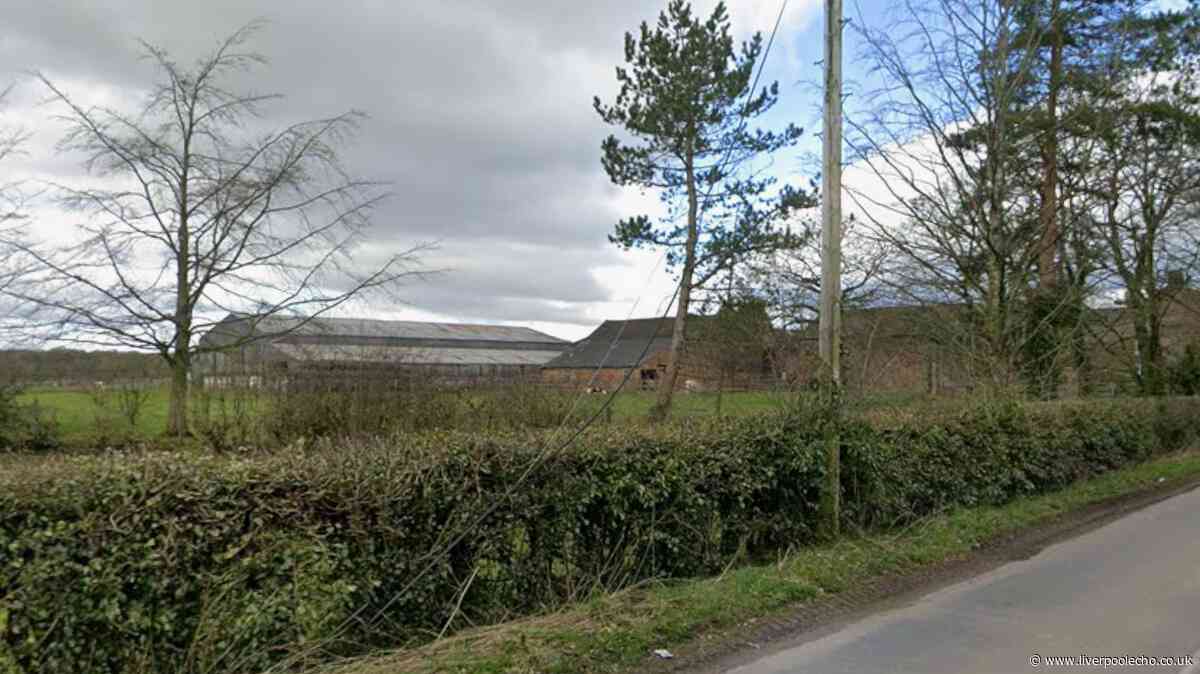 Two men die after falling into industrial tank
