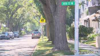 Saskatoon residents call for more trees as Dutch elm disease continues to spread